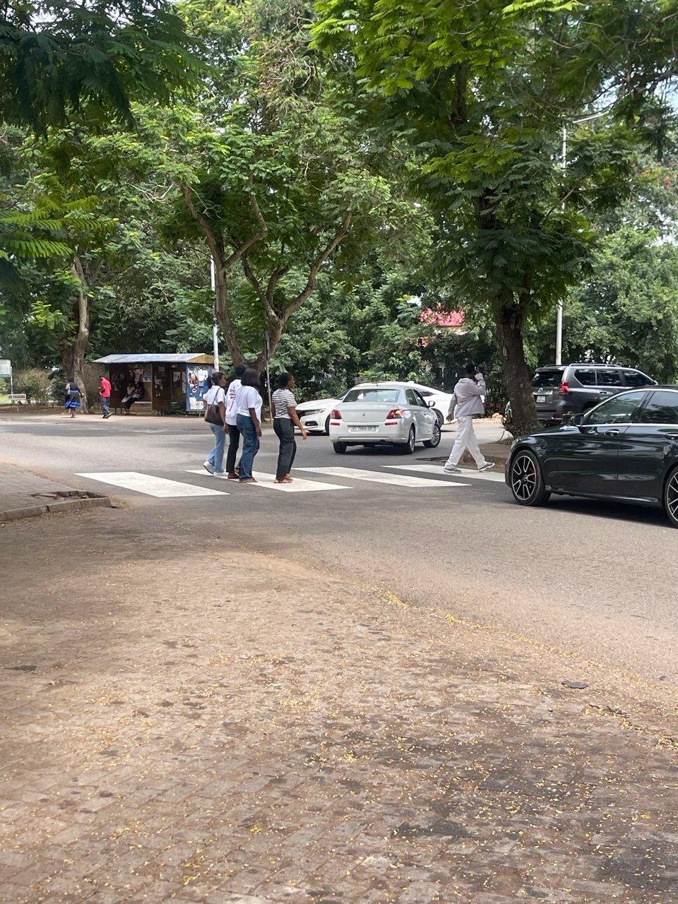 CAAR Scholars’ Participation in Baseline Study on Electric Bikes and Pedestrian Safety in Accra